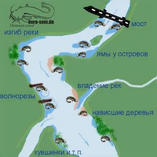 Як спіймати сома на річці (донну вудку спінінг) Як спіймати сома на річці