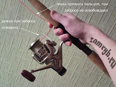 Як правильно тримати вудку з котушкою вибір поплавковою махової вудки і її оснащення (вудку) Як правильно тримати вудку з котушкою вибір поплавковою махової вудки і її оснащення