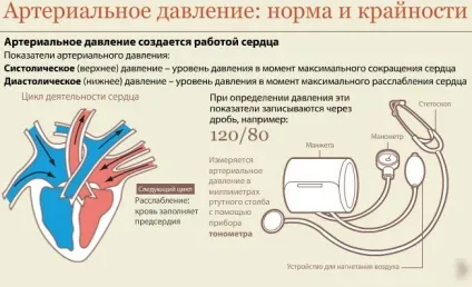 Як правильно виміряти артеріальний тиск приладами тонометром (правильно) Як правильно виміряти артеріальний тиск приладами тонометром