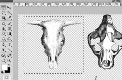 Як правильно відкрити векторне зображення в photoshop (правильно) Як правильно відкрити векторне зображення в photoshop