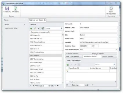 Microsoft visual studio lightswitch 2011 - програмні продукти