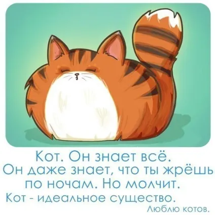 Думки в слух, записи в рубриці думки в слух, лапка м'яка liveinternet - український сервіс (думки) Думки в слух, записи в рубриці думки в слух, лапка м'яка liveinternet - український сервіс