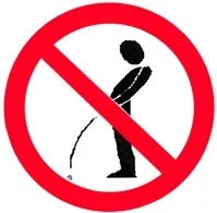 Як правильно підготуватися до узі нирок що потрібно перед узі нирок