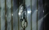 Як правильно встановити утеплювач в даху (правильно встановити утеплювач) Як правильно встановити утеплювач в даху