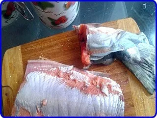 Як правильно посолити горбушу з фото - рецепти з фото (посолити) Як правильно посолити горбушу з фото - рецепти з фото
