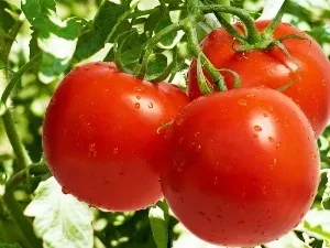 Як приготувати філе тріски в духовці (Жаропрочная форма змащується) Як приготувати філе тріски в духовці