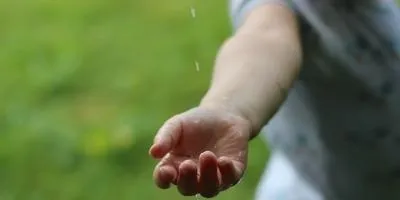 Як правильно вирощувати картоплю на грядці відповіді експертів (картопля) Як правильно вирощувати картоплю на грядці відповіді експертів