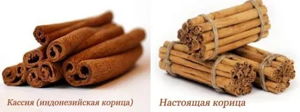 Як правильно вибрати справжню корицю і відрізнити від підробки (відрізнити) Як правильно вибрати справжню корицю і відрізнити від підробки