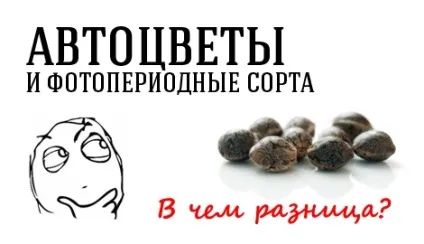 Як правильно вибрати добриво я - новачок - публікації - статті () Як правильно вибрати добриво я - новачок - публікації - статті