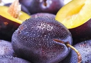 Як приготувати сливову наливку (домашніх умовах сливової) Як приготувати сливову наливку