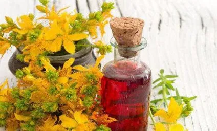 Як приготувати звіробійне масло в домашніх умовах (приготувати) Як приготувати звіробійне масло в домашніх умовах