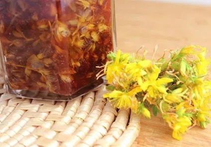 Як приготувати звіробійне масло в домашніх умовах (домашніх) Як приготувати звіробійне масло в домашніх умовах