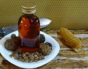 Як проходить лікування прополісом виразки 12 палої кишки (лікування) Як проходить лікування прополісом виразки 12 палої кишки