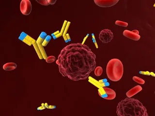 Як розпізнати перші ознаки сифілісу ознаки сифілісу у жінок і ознаки сифілісу у чоловіків