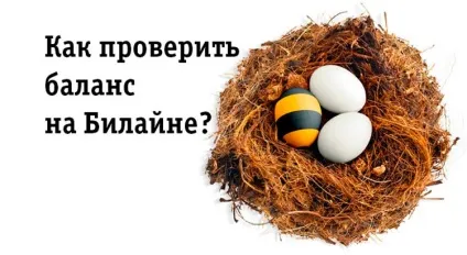 Як перевірити баланс на Білайн на телефоні, через смс