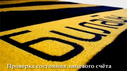 Як перевірити баланс на Білайн на телефоні, через смс