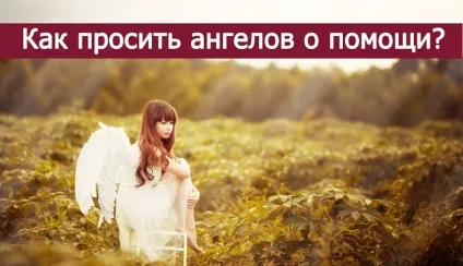 Як просити ангелів про допомогу езотерика і самопізнання (ангелів) Як просити ангелів про допомогу езотерика і самопізнання