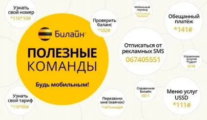 Як перевірити баланс на Білайн на телефоні, через смс