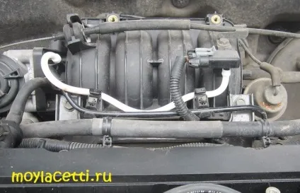 Як перевірити дад, мій лачетті