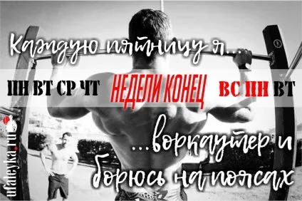 Як провести вихідні суспільство (фестиваль) Як провести вихідні суспільство