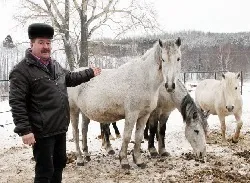 Як розбагатіти в селі