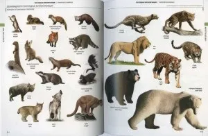 Як розширити свій словниковий запас з англійської мови, англійські секрети (англійські) Як розширити свій словниковий запас з англійської мови, англійські секрети