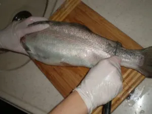 Як обробити сьомгу, форель, горбушу