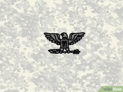 Як розрізняти військові звання армії сша (Відзнаку старшого) Як розрізняти військові звання армії сша
