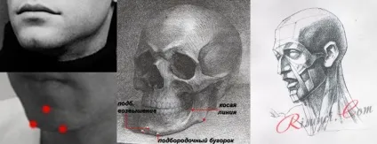 Як малювати підборіддя олівцем, малюнки олівцем поетапно