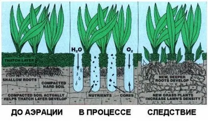 Як зробити аератор для газону своїми руками інструкції з відео (аератор) Як зробити аератор для газону своїми руками інструкції з відео