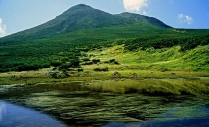 Як втекти з в'язниці, не залишаючи камери