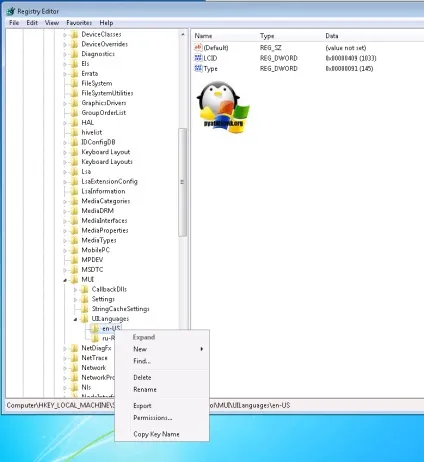 Як русифікувати windows 7, за хвилину, настройка серверів windows і linux