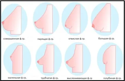 Як зробити груди пружною найефективніший спосіб (груди) Як зробити груди пружною найефективніший спосіб