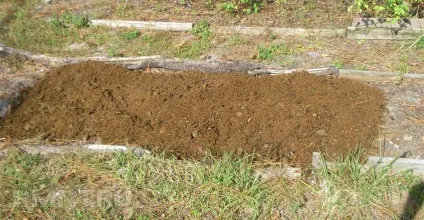 Як зробити парник своїми руками (ремонт) Як зробити парник своїми руками