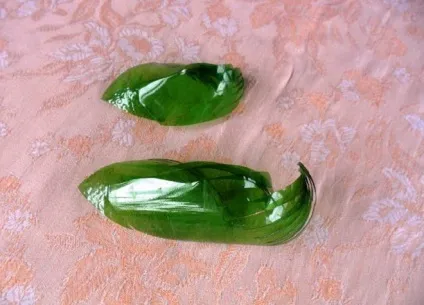 Як зробити півня з пластикових пляшок покроково (пляшок) Як зробити півня з пластикових пляшок покроково