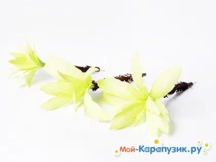Як зробити пальму з паперу своїми руками (своїми) Як зробити пальму з паперу своїми руками