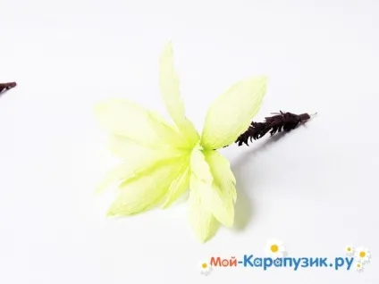 Як зробити пальму з паперу своїми руками (паперу) Як зробити пальму з паперу своїми руками