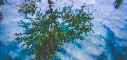 Як зробити сильний приворот щоб чоловік закохався - практична магія (любов) Як зробити сильний приворот щоб чоловік закохався - практична магія