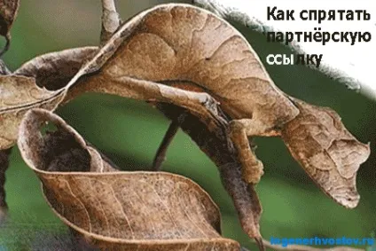 Як приховати партнерське посилання