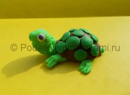 Як зліпити черепаху з пластиліну (пластиліну) Як зліпити черепаху з пластиліну