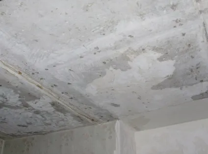 Як приховати нерівності стелі при фарбуванні, декором (приховати нерівності стелі) Як приховати нерівності стелі при фарбуванні, декором