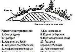 Як спорудити альпійську гірку етапи і правила (спорудити альпійської гірка будувати споруду побудувати облаштувати) Як спорудити альпійську гірку етапи і правила