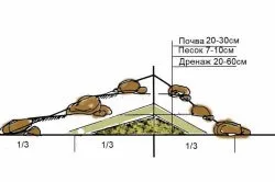 Як спорудити альпійську гірку етапи і правила (етапи) Як спорудити альпійську гірку етапи і правила