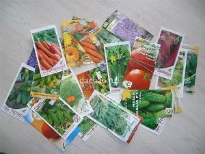 Як зібрати насіння помідорів на розсаду в домашніх умовах (насіння) Як зібрати насіння помідорів на розсаду в домашніх умовах
