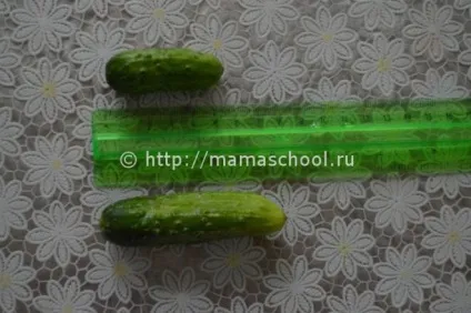 Як солити огірки, щоб вони були хрусткими, хрусткі солоні огірки на зиму без оцту (огірки) Як солити огірки, щоб вони були хрусткими, хрусткі солоні огірки на зиму без оцту