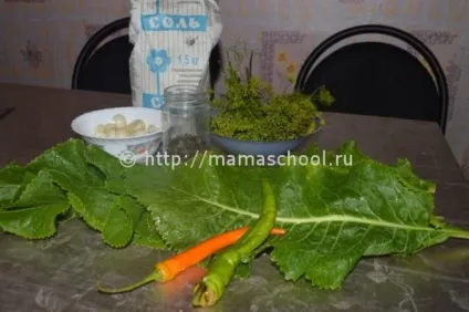 Як солити огірки, щоб вони були хрусткими, хрусткі солоні огірки на зиму без оцту (були) Як солити огірки, щоб вони були хрусткими, хрусткі солоні огірки на зиму без оцту
