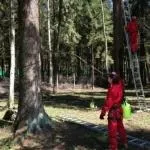 Як вбити короеда відгуки, дез-відгук (будівництва житлових будинків) Як вбити короеда відгуки, дез-відгук