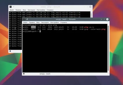 Як вбити процес linux, losst