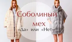 Як прибрати жовтизну з хутра (хутра) Як прибрати жовтизну з хутра