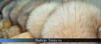 Як прибрати жовтизну з хутра (жовтизну) Як прибрати жовтизну з хутра